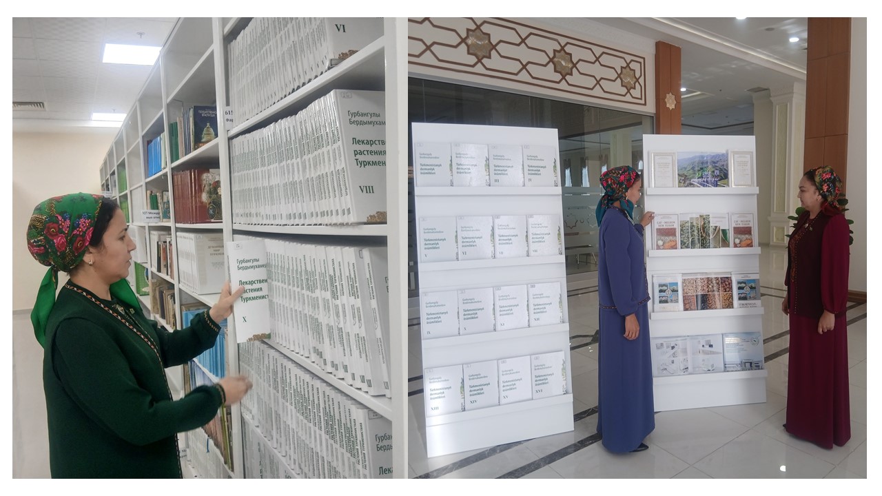 Sag­ly­gym-baş baý­ly­gym