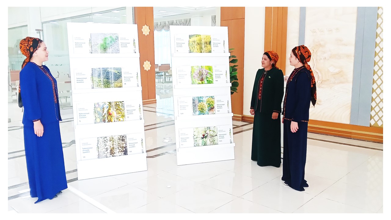 «Türkmenistanyň dermanlyk ösümlikleri»